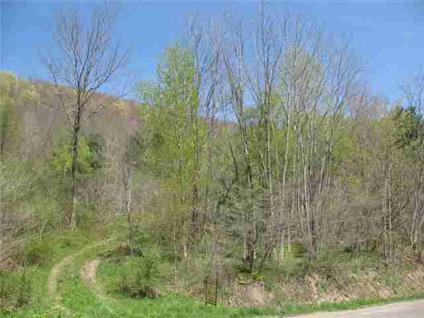 $79,000
Great Valley, Ten plus acres for under $100,000 with a view