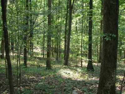 $79,000
Vienna, These 25 acres in Johnson County will delight the