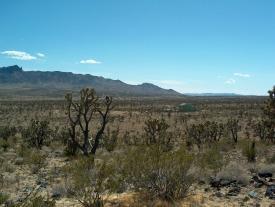 $79,500
Vacant Land 20 Acres Plenty of Privacy Beautiful Views