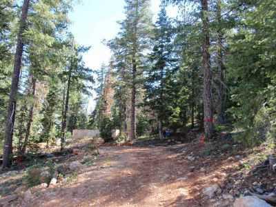 $79,900
2 Building Lots Bordering National Forest
