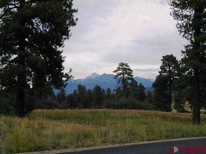 $79,900
Pagosa Springs Real Estate Land for Sale. $79,900 - Mike Heraty of