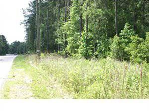 $79,900
Summerville, Wow 1.22 acres in an area of that is growing
