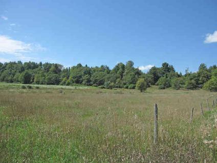 $80,000
Evans Mills, Start a small farm. Home site & pasture near