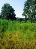 $82,500
30+/- Acres 45 minutes North of Lafayette For Sale