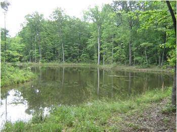 $84,500
Waterfront Lot Near Cloudland State Park