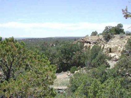 $85,000
15 acres, New Mexico,remote, improved land w/ views, trees, CAVE!!