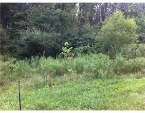 $85,000
Gorgeous Wooded Lot in Premier Beacon Hill SU...