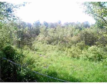 $85,000
Livingston Manor, 12.16 acres in - wonderful place to build