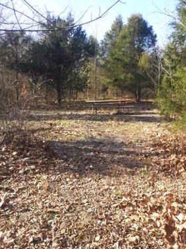 $85,000
Nice 18.5 acres, prime hunting land with cabin