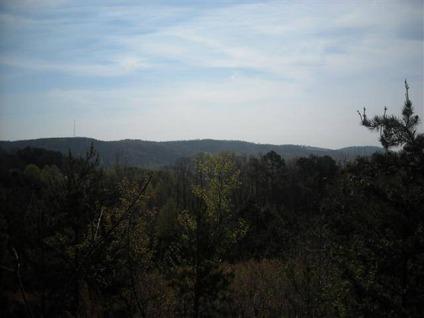 $85,000
Taylorsville, TAYLORSVILLE: 22.7 Acres of majestic land in