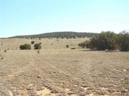 $85,800
This picturesque Estancia Valley property boasts over 54 spectacular acres for