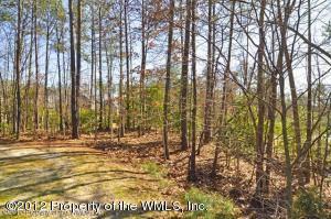 $85,900
Toano, Picturesque, gently elevated, partially wooded and