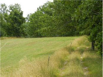 $87,228
24 Acres Priced to Sell !