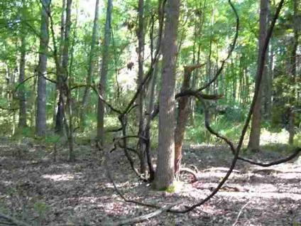 $87,500
Lindale, Wooded and rolling tract with mostly hardwood