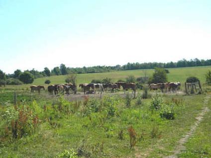 $898,900
436 Acres -- Horse Ranch -- Tillable Farmland -- Arena - House & Barns
