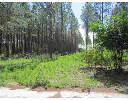 $89,500
Clermont, Secluded 10 acre parcel with canal running through