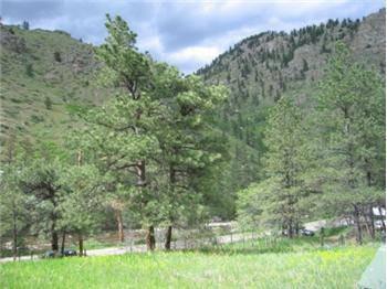 $89,500
Poudre Canyon Building Site