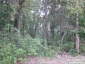 $89,900
1.75 Acre Land in MANCHESTER, NJ