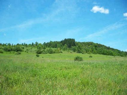 $89,900
47 Acres -- Open Meadow -- Perfect for Horses -- Build Your New Home