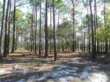 $89,900
Southport, Stunning wooded lot, water/nature preserve at