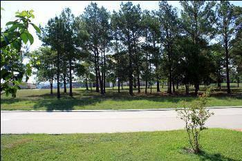 $89,900
Willis, Large wooded lot on pond in premier gated Lake