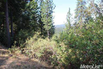 $8,000
Tuolumne, .33 sloped down hill lot with great mountain