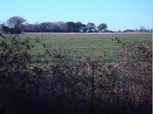$8,500
Ranch Land in Hempstead, Hempstead, TX
