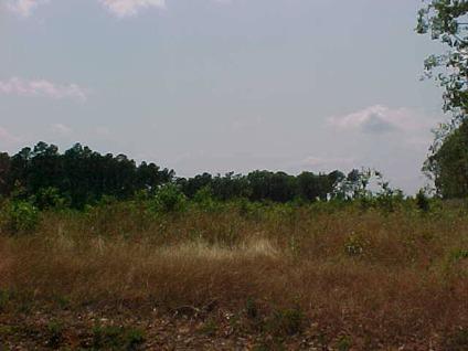 $8,500
Ruston, This lot is cleared and flat. Ready for your mobile
