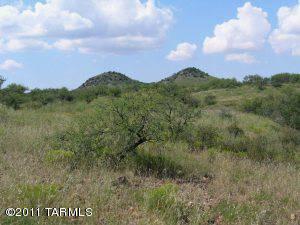 $90,000
Arivaca, FENCED 40 ACRES BETWEEN PAPALOTE WASH AND TWIN