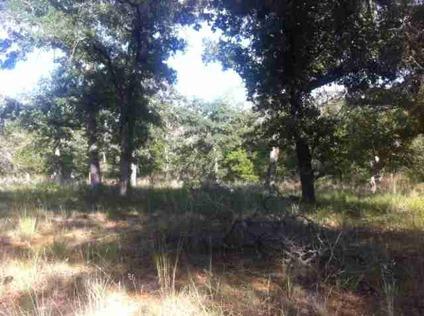 $92,000
Beautiful piece of property on FM 1117! 21.945 acres. Trees galore!!!