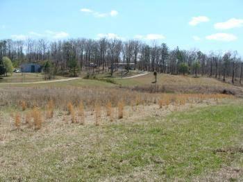 $93,500
West Blocton, BEAUTIFUL LAND WITH ROAD FRONTAGE AND VERY