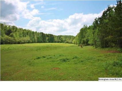 $945,000
205+/- Acres on 3 sides of the Talladega National Forest