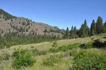 $95,000
Carlton, Great 11.41 acre property is surrounded by National