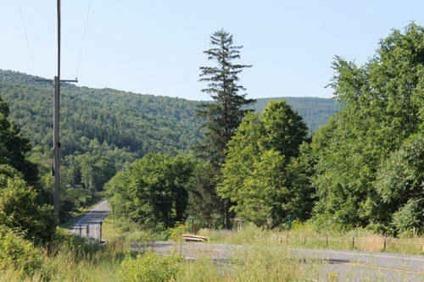$95,900
78 Acres -- Hunting Land Bordering State Forest -- with Electric