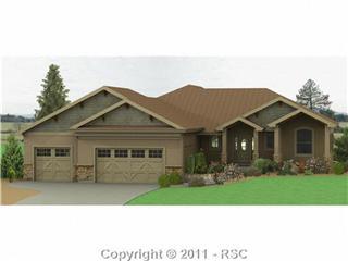 9679 Keating Dr Falcon, CO 80831