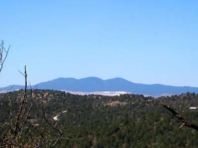 $96,000
Rare Find... 8-40 Acres Bordering National Forest