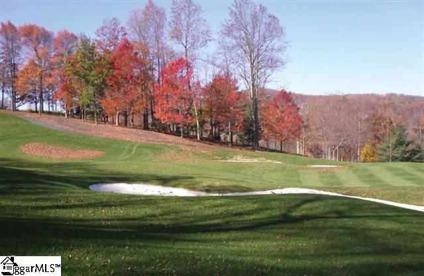 $96,000
This is one of the prime golf course homesites at The Cliffs at Glassy.