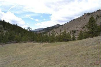 $98,000
Buckhorn Canyon with National Forest Frontage