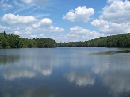 $98,900
12 Acres -- Lake Front on a Private Lake -- Build Summer Home