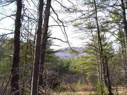 $99,000
14+ Acres in Woodstock NY - Hunting Cabin! Stream! Mt views!