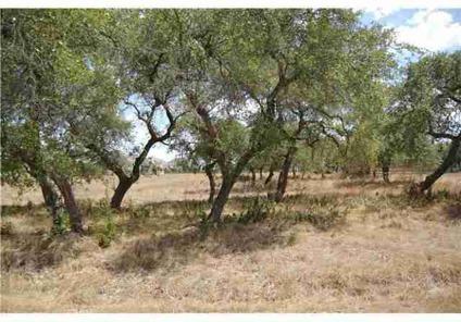 $99,000
Amazing lot on 2 level acres with great oak trees. Lot is located in the back of