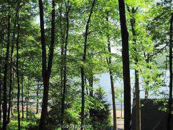 $99,000
Oakland, WITH ACCESS OFF OF RT 219, THIS WOODED LAKE VIEW
