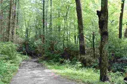 $99,900
Buildable Lot With Creek Inside Highlands, NC City Limits!