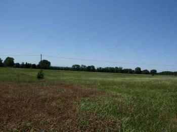 $99,900
Mulberry, BEAUTIFUL ACREAGE! This 38.43 acres of gently