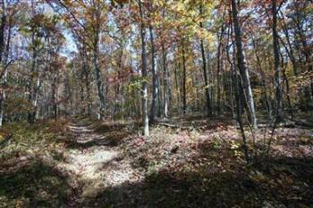 $99,900
Oakland, What a great opportunity! 14 rolling wooded acres
