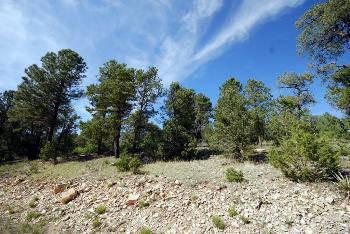$99,900
Tijeras, Listing agent: Ron Campbell, Call [phone removed] for