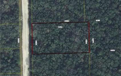 $9,100
Mayo, Very affordable 1 acre lot near . Wooded property