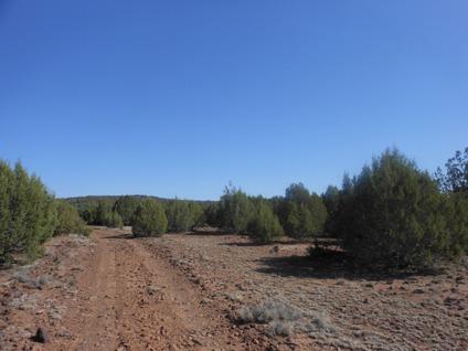 $9,600
12 Acres Arizona Vacant Land