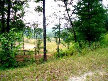 $9,900
12274- Lot Overlooking the 18th Hole!
