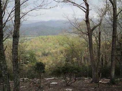 $9,900
1 Acre +/- in Mountaintop Community ~ Traphill, N.C. VIEWS!!